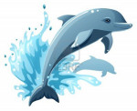 Wave - Männlich Delfin (1 Monat)